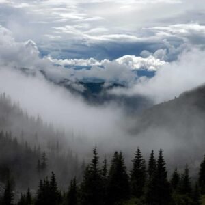 Gold-Plated Hoop Earrings